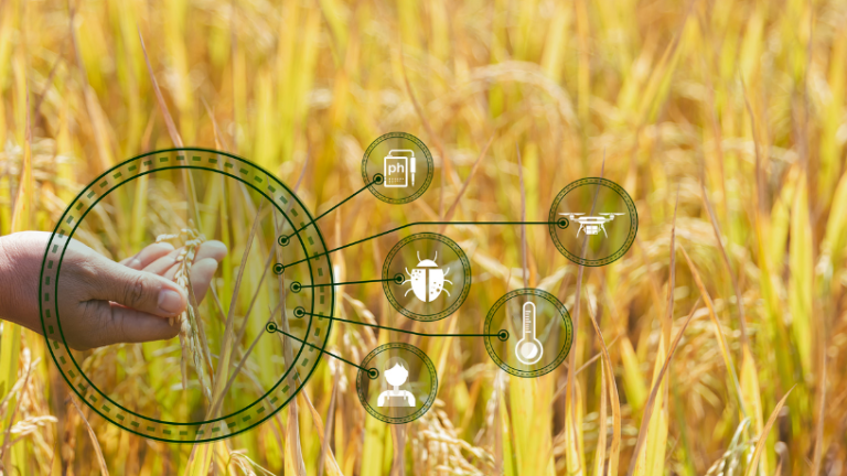 Tecnologias que impulsionam o campo: Saiba mais sobre a agricultura de precisão A agricultura de precisão, segundo João Eustáquio De Almeida Junior, transforma a produção rural com inovação e eficiência.