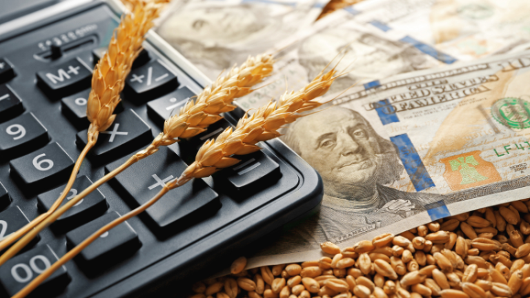 Parajara Moraes Alves Junior