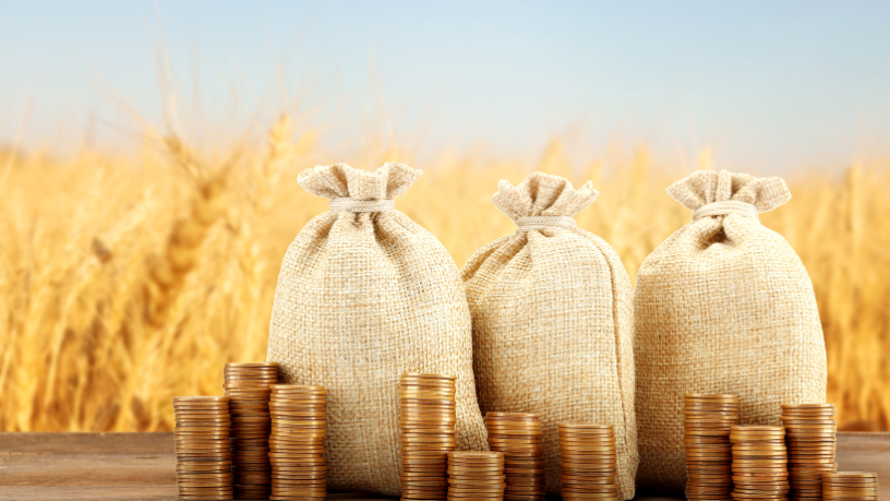 Parajara Moraes Alves Junior