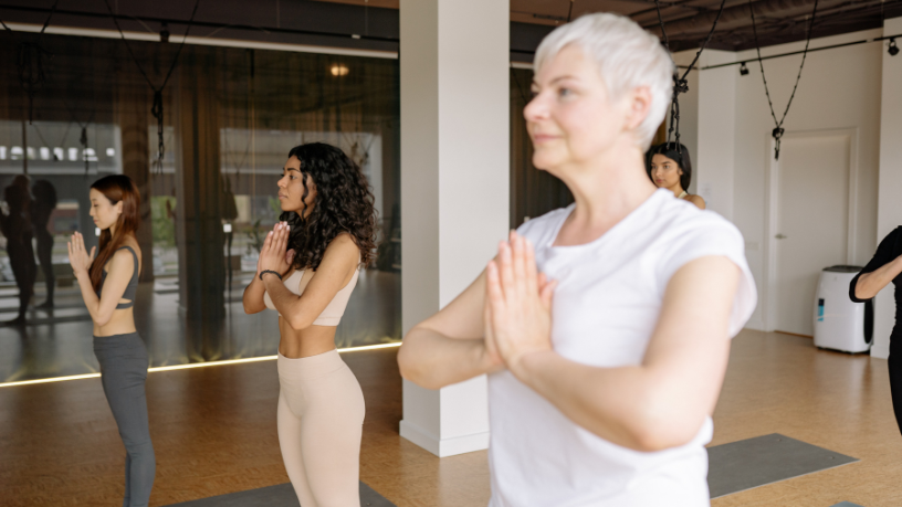 Sindnapi - Sindicato Nacional dos Aposentados, Pensionistas e Idosos