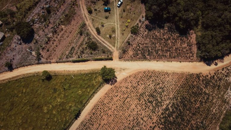 Vista aérea de estradas de terra que se cruzam entre campos agrícolas no interior de Tubarão, em Santa Catarina.