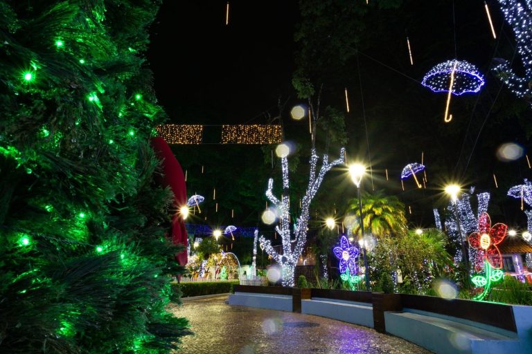 Parque à noite decorado com luzes coloridas e elementos natalinos