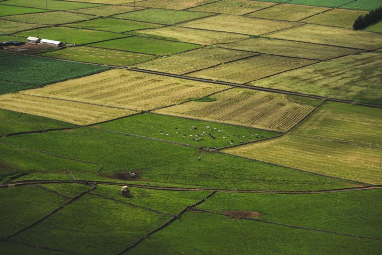 Vista aérea de campos agrícolas em diferentes tons de verde, com gado pastando entre as áreas rurais.