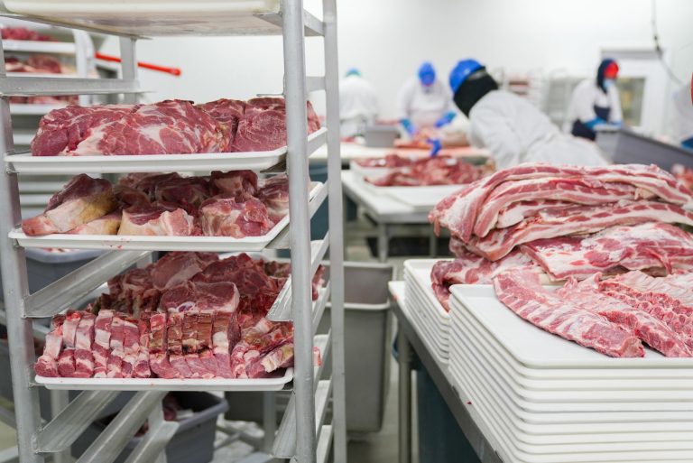 Trabalhadores manuseiam cortes de carne em bandejas dentro de uma unidade industrial de processamento de alimentos.